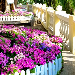 Gardens